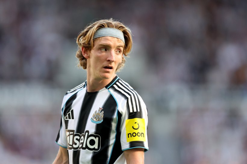 أنتوني غوردون يرد على الانتقادات: الكلام عني كان هراء كامل