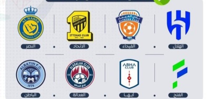 8 أندية سعودية على طاولة الخصخصة