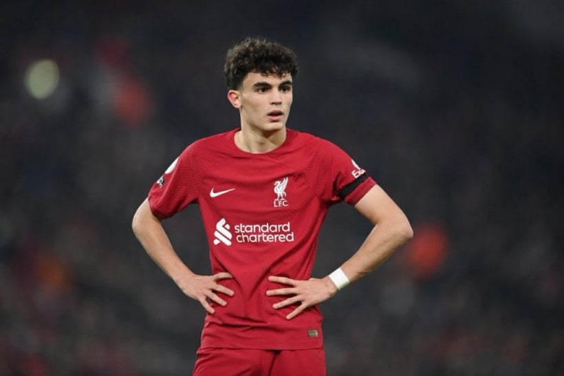 ستيفان بايتيتش يقترب من العودة إلى سيلتا فيغو